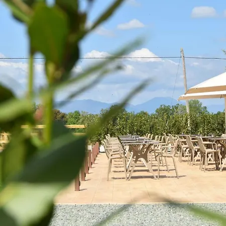 Restaurant Mas Ros Hotel